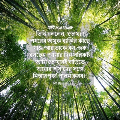 Picture 04 - মথি 26:18 BENIRV - তিনি বললেন, “তোমরা - Bible Verse Picture