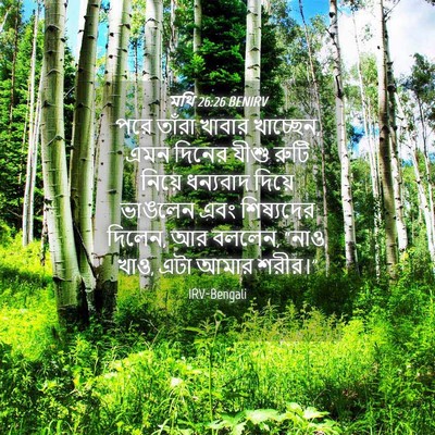 Picture 04 - মথি 26:26 BENIRV - পরে তাঁরা খাবার - Bible Verse Picture