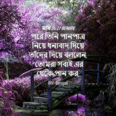 Picture 04 - মথি 26:27 BENIRV - পরে তিনি পানপাত্র - Bible Verse Picture
