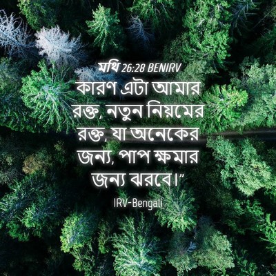 Picture 04 - মথি 26:28 BENIRV - কারণ এটা আমার রক্ত, - Bible Verse Picture