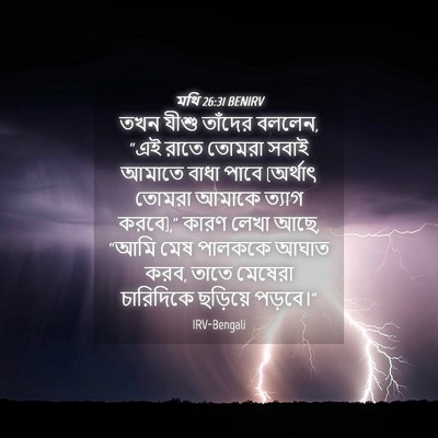 Picture 04 - মথি 26:31 BENIRV - তখন যীশু তাঁদের - Bible Verse Picture