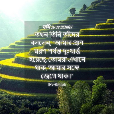 Picture 04 - মথি 26:38 BENIRV - তখন তিনি তাঁদের - Bible Verse Picture