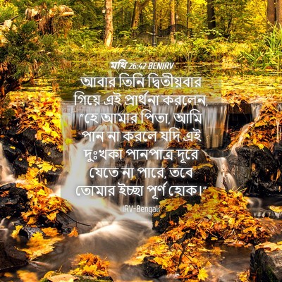 Picture 04 - মথি 26:42 BENIRV - আবার তিনি - Bible Verse Picture