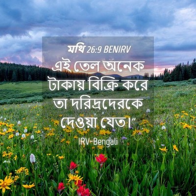 Picture 04 - মথি 26:9 BENIRV - এই তেল অনেক টাকায় - Bible Verse Picture