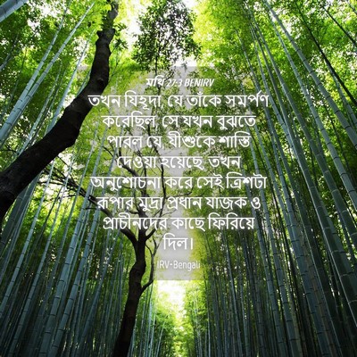 Picture 04 - মথি 27:3 BENIRV - তখন যিহূদা, যে - Bible Verse Picture
