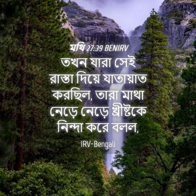 Picture 04 - মথি 27:39 BENIRV - তখন যারা সেই - Bible Verse Picture