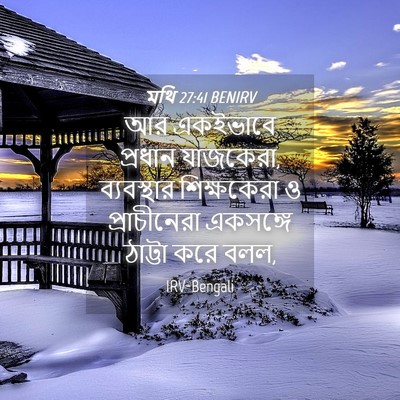 Picture 04 - মথি 27:41 BENIRV - আর একইভাবে প্রধান - Bible Verse Picture