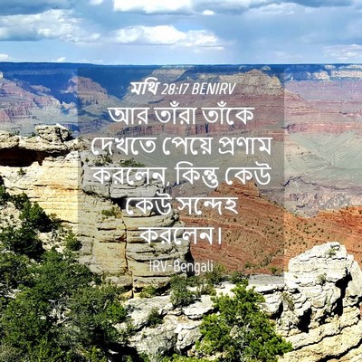 Picture 04 - মথি 28:17 BENIRV - আর তাঁরা তাঁকে - Bible Verse Picture