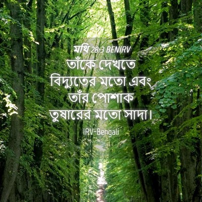 Picture 04 - মথি 28:3 BENIRV - তাঁকে দেখতে - Bible Verse Picture