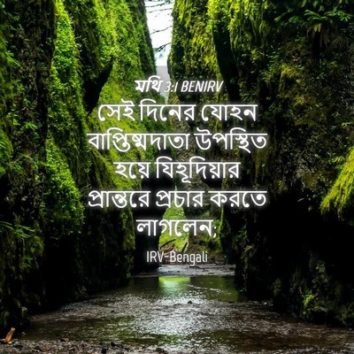 Picture 04 - মথি 3:1 BENIRV - সেই দিনের যোহন - Bible Verse Picture