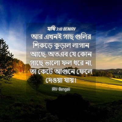 Picture 04 - মথি 3:10 BENIRV - আর এখনই গাছ গুলির - Bible Verse Picture