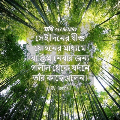 Picture 04 - মথি 3:13 BENIRV - সেই দিনের যীশু - Bible Verse Picture
