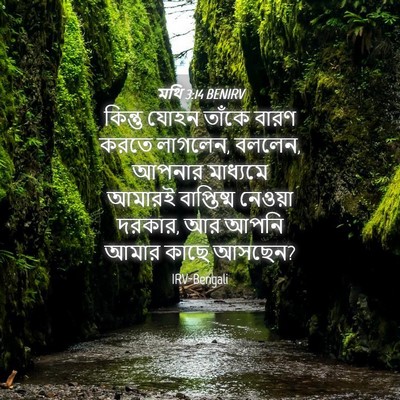 Picture 04 - মথি 3:14 BENIRV - কিন্তু যোহন তাঁকে - Bible Verse Picture
