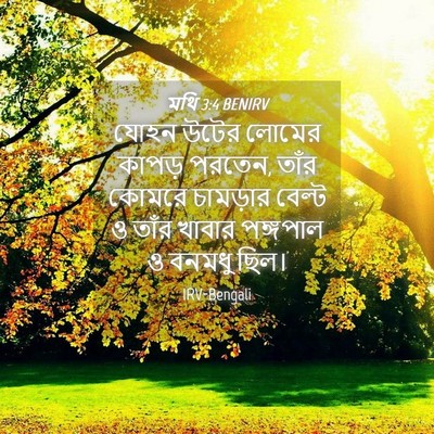 Picture 04 - মথি 3:4 BENIRV - যোহন উটের লোমের - Bible Verse Picture