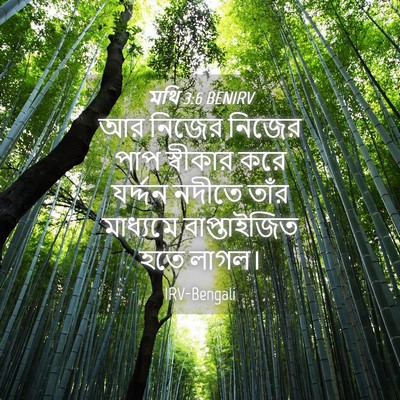 Picture 04 - মথি 3:6 BENIRV - আর নিজের নিজের পাপ - Bible Verse Picture