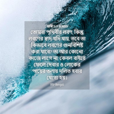 Picture 04 - মথি 5:13 BENIRV - তোমরা পৃথিবীর লবণ, - Bible Verse Picture