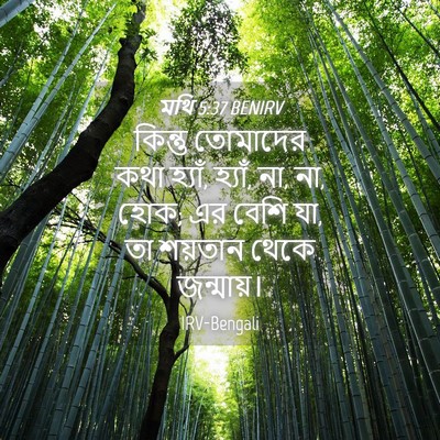 Picture 04 - মথি 5:37 BENIRV - কিন্তু তোমাদের - Bible Verse Picture
