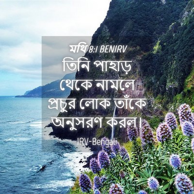 Picture 04 - মথি 8:1 BENIRV - তিনি পাহাড় থেকে - Bible Verse Picture
