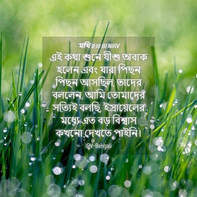Picture 04 - মথি 8:10 BENIRV - এই কথা শুনে যীশু - Bible Verse Picture