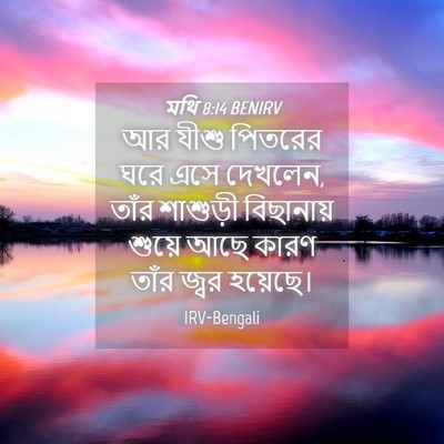 Picture 04 - মথি 8:14 BENIRV - আর যীশু পিতরের ঘরে - Bible Verse Picture