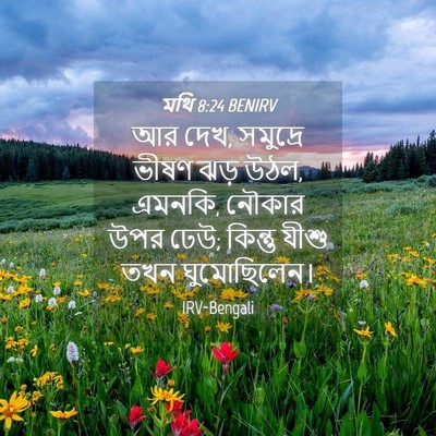 Picture 04 - মথি 8:24 BENIRV - আর দেখ, সমুদ্রে - Bible Verse Picture