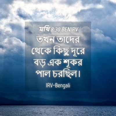 Picture 04 - মথি 8:30 BENIRV - তখন তাদের থেকে - Bible Verse Picture