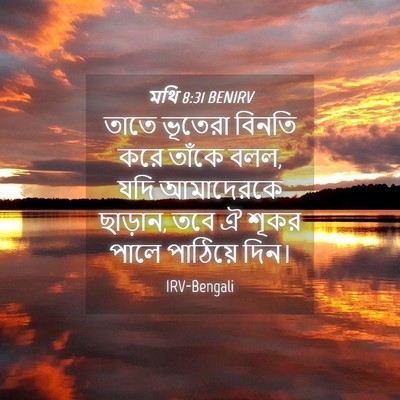 Picture 04 - মথি 8:31 BENIRV - তাতে ভূতেরা বিনতি - Bible Verse Picture