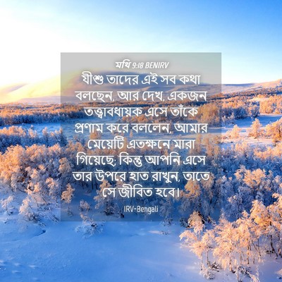 Picture 04 - মথি 9:18 BENIRV - যীশু তাদের এই সব - Bible Verse Picture