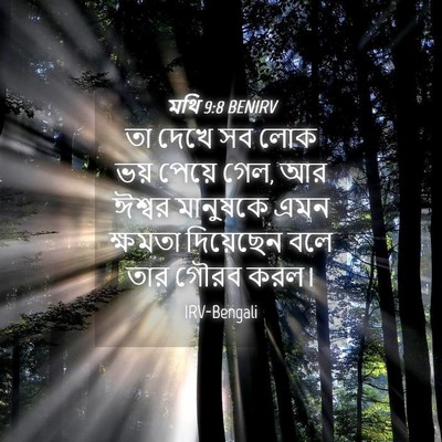 Picture 04 - মথি 9:8 BENIRV - তা দেখে সব লোক ভয় - Bible Verse Picture