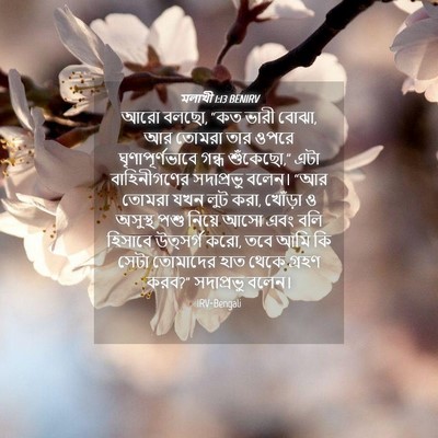 Picture 04 - মলাখী 1:13 BENIRV - আরো বলছো, “কত ভারী - Bible Verse Picture