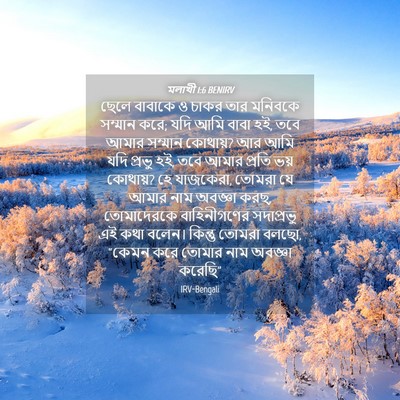 Picture 04 - মলাখী 1:6 BENIRV - ছেলে বাবাকে ও চাকর - Bible Verse Picture