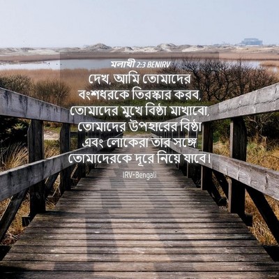 Picture 04 - মলাখী 2:3 BENIRV - দেখ, আমি তোমাদের - Bible Verse Picture