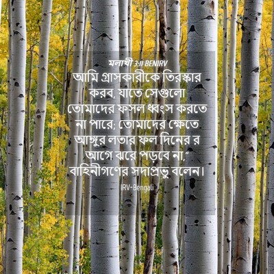 Picture 04 - মলাখী 3:11 BENIRV - আমি গ্রাসকারীকে - Bible Verse Picture