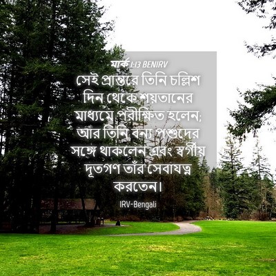Picture 04 - মার্ক 1:13 BENIRV - সেই প্রান্তরে - Bible Verse Picture