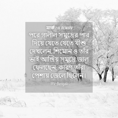 Picture 04 - মার্ক 1:16 BENIRV - পরে গালীল - Bible Verse Picture