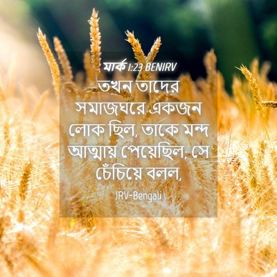 Picture 04 - মার্ক 1:23 BENIRV - তখন তাদের সমাজঘরে - Bible Verse Picture