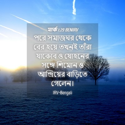 Picture 04 - মার্ক 1:29 BENIRV - পরে সমাজঘর থেকে - Bible Verse Picture