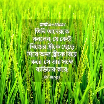 Picture 04 - মার্ক 10:11 BENIRV - তিনি তাদেরকে - Bible Verse Picture