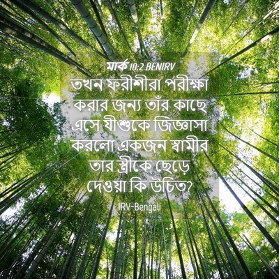 Picture 04 - মার্ক 10:2 BENIRV - তখন ফরীশীরা - Bible Verse Picture