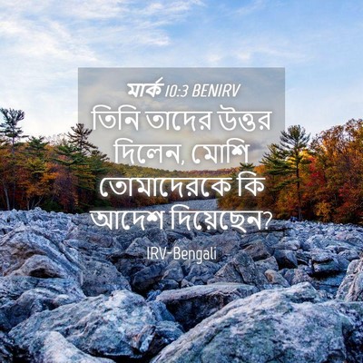 Picture 04 - মার্ক 10:3 BENIRV - তিনি তাদের উত্তর - Bible Verse Picture