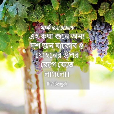 Picture 04 - মার্ক 10:41 BENIRV - এই কথা শুনে অন্য দশ - Bible Verse Picture