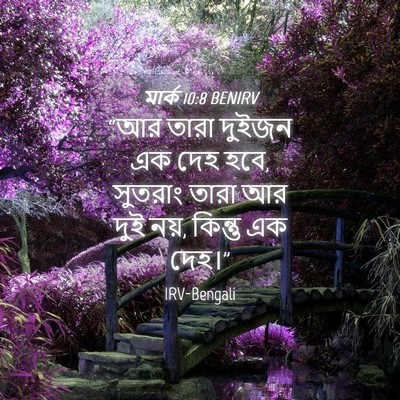 Picture 04 - মার্ক 10:8 BENIRV - “আর তারা দুইজন এক - Bible Verse Picture