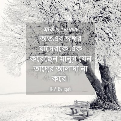Picture 04 - মার্ক 10:9 BENIRV - অতএব ঈশ্বর - Bible Verse Picture