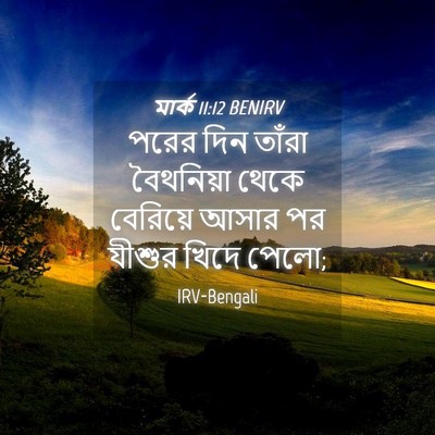 Picture 04 - মার্ক 11:12 BENIRV - পরের দিন তাঁরা - Bible Verse Picture