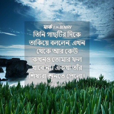 Picture 04 - মার্ক 11:14 BENIRV - তিনি গাছটির দিকে - Bible Verse Picture