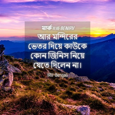 Picture 04 - মার্ক 11:16 BENIRV - আর মন্দিরের ভেতর - Bible Verse Picture