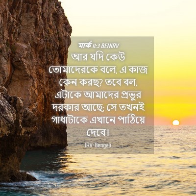 Picture 04 - মার্ক 11:3 BENIRV - আর যদি কেউ - Bible Verse Picture