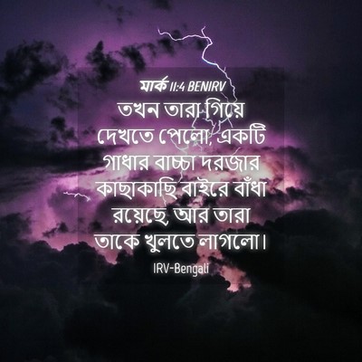 Picture 04 - মার্ক 11:4 BENIRV - তখন তারা গিয়ে - Bible Verse Picture