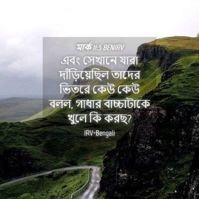 Picture 04 - মার্ক 11:5 BENIRV - এবং সেখানে যারা - Bible Verse Picture