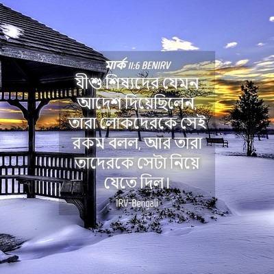 Picture 04 - মার্ক 11:6 BENIRV - যীশু শিষ্যদের - Bible Verse Picture